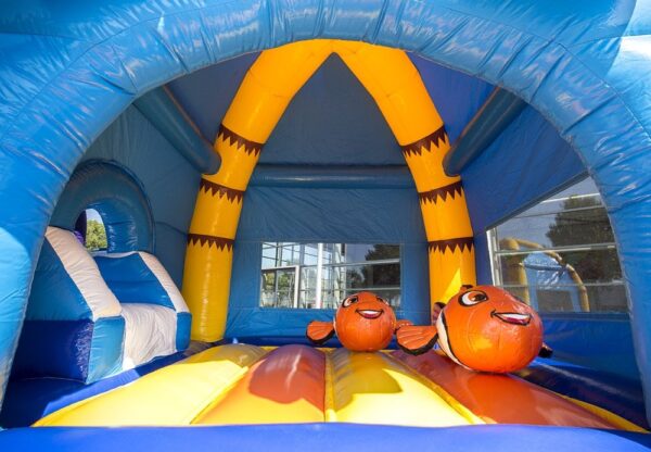 visje5.jpg visje5.jpg